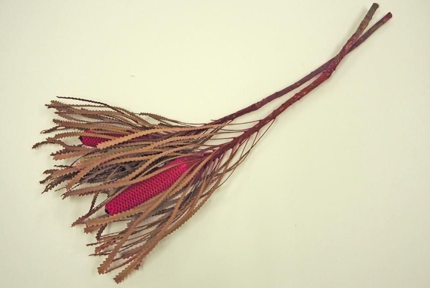 バンクシアホッカラナキャンドル ピンク 2本