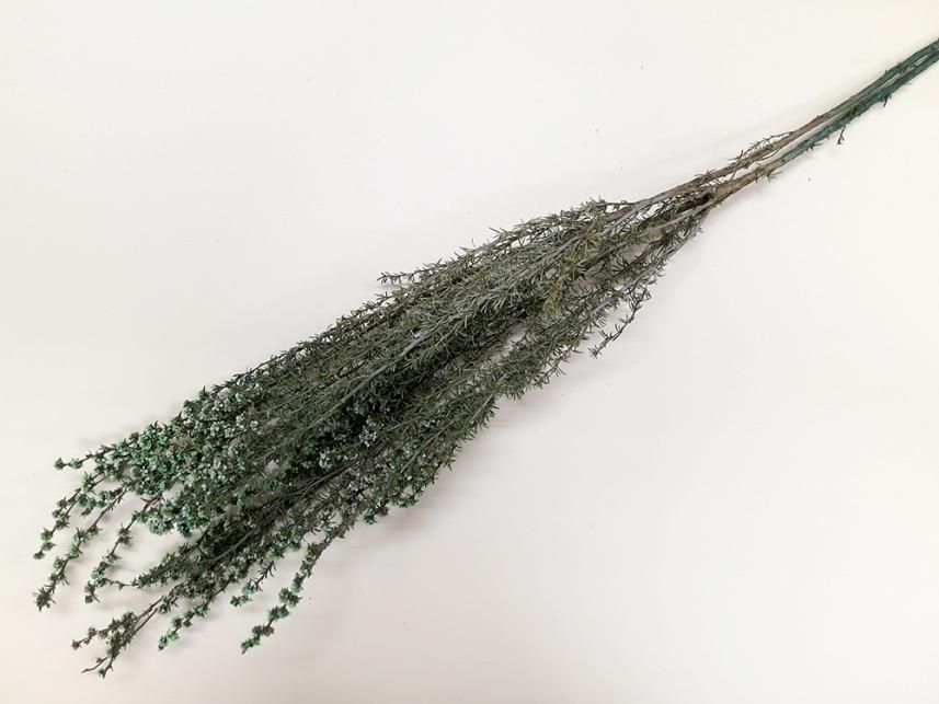 ティートゥリーローサ グリーン 約40g