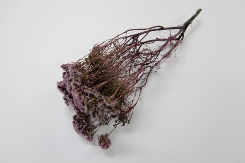 ブローニー ピンク 約40g