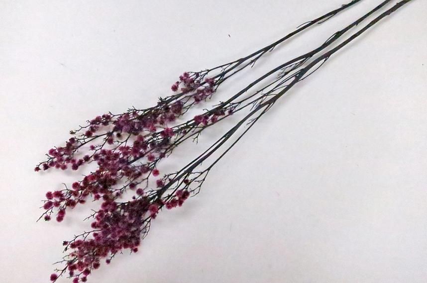 ストレンギア ピンク 約40g