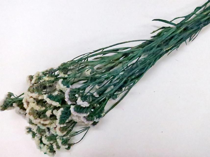 スターチス ナチュラル 約60g