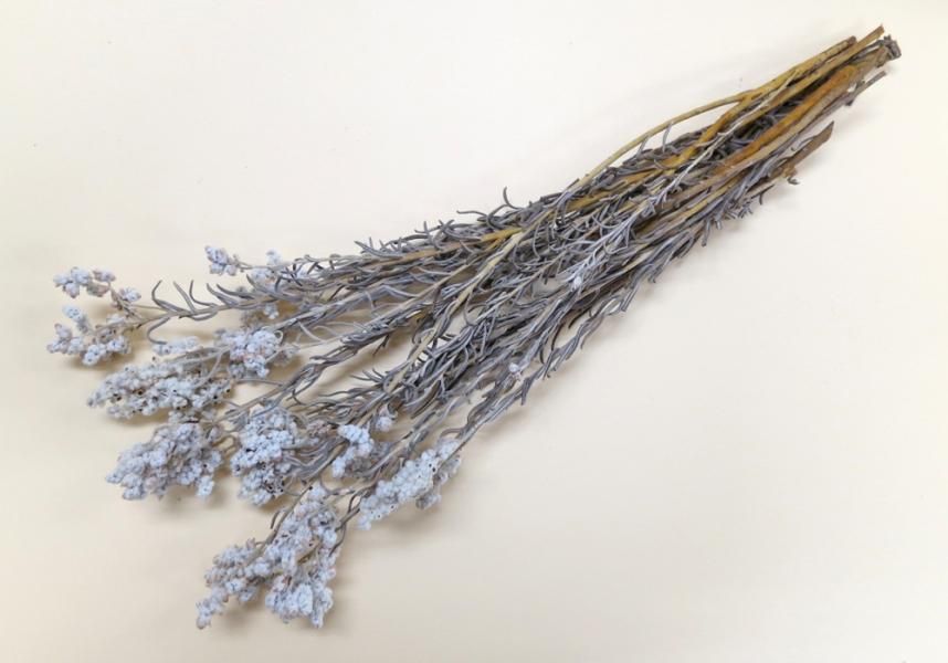 サゴ ナチュラル 約40g