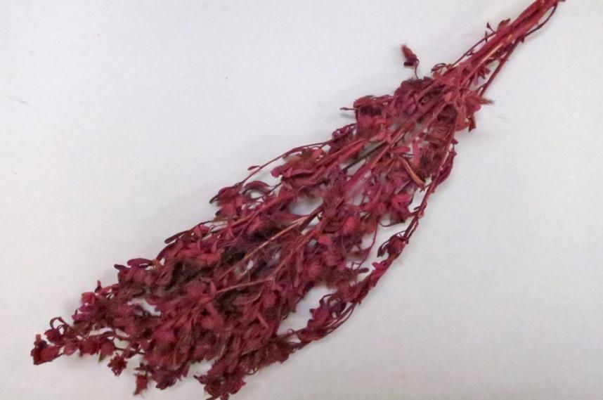 ケイパーズ ピンク 約40g