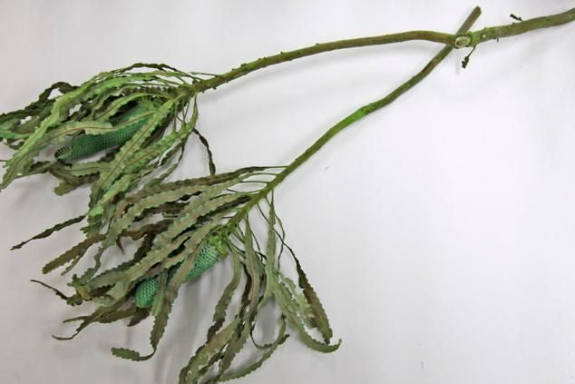 バンクシアプリノテキャンドル グリーン 2本