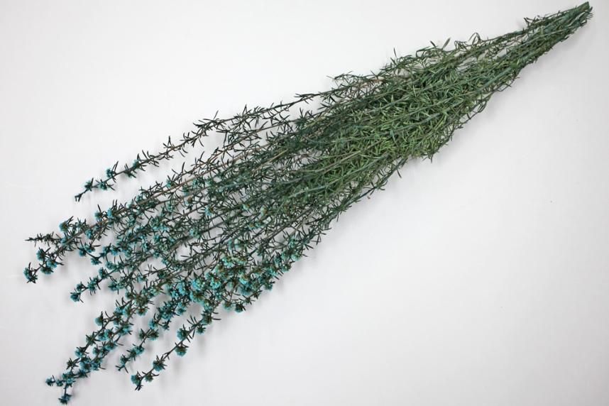 ティートゥリーコルサ ブルー 約50g