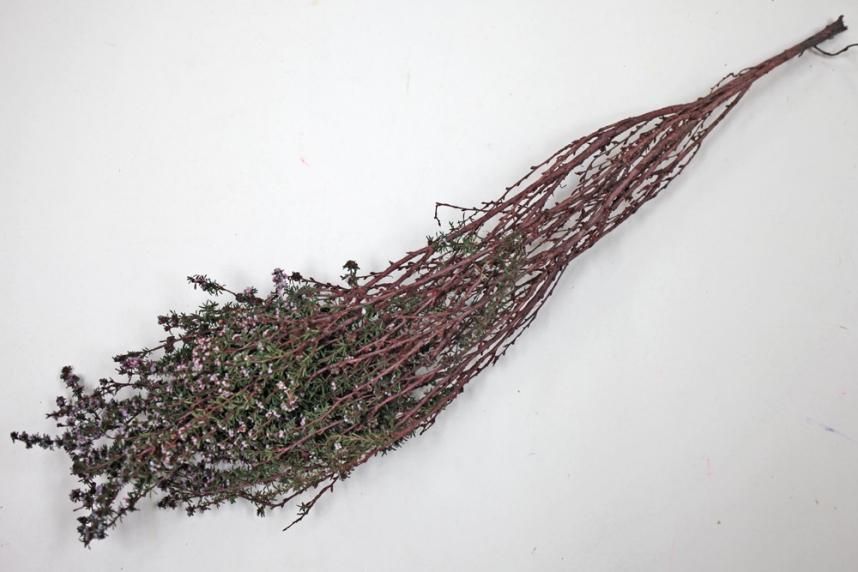 ティートゥリーファイン ムーブ 約40g