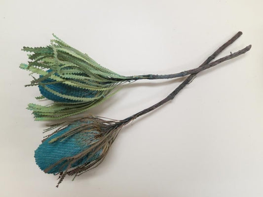 バンクシアホッカラナ ブルー 1本