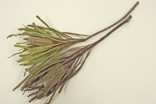 バンクシアホッカラナキャンドル ナチュラル 2本