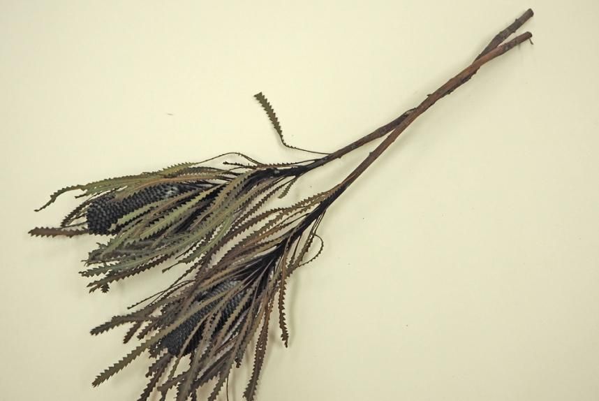 バンクシアホッカラナキャンドル ブラック 2本