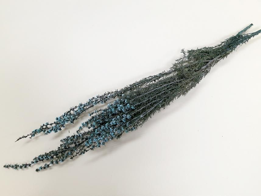 ティートゥリーローサ ブルー 約40g