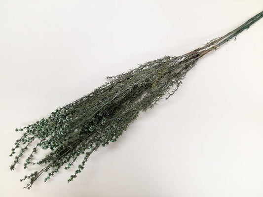 ティートゥリーローサ グリーン 約40g