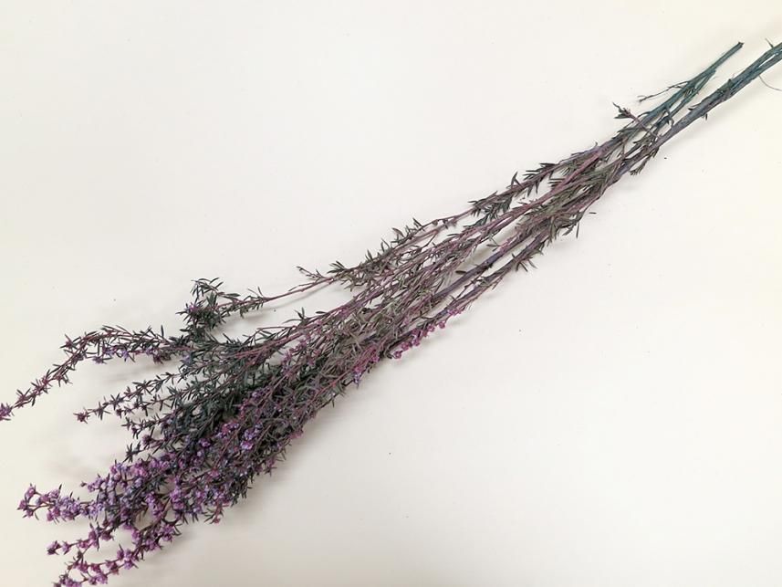 ティートゥリーローサ ムーブ 約40g