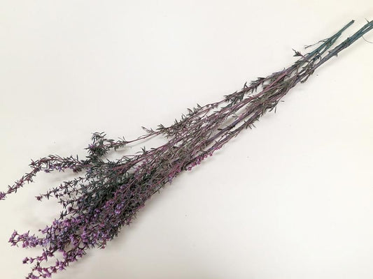 ティートゥリーローサ ムーブ 約40g