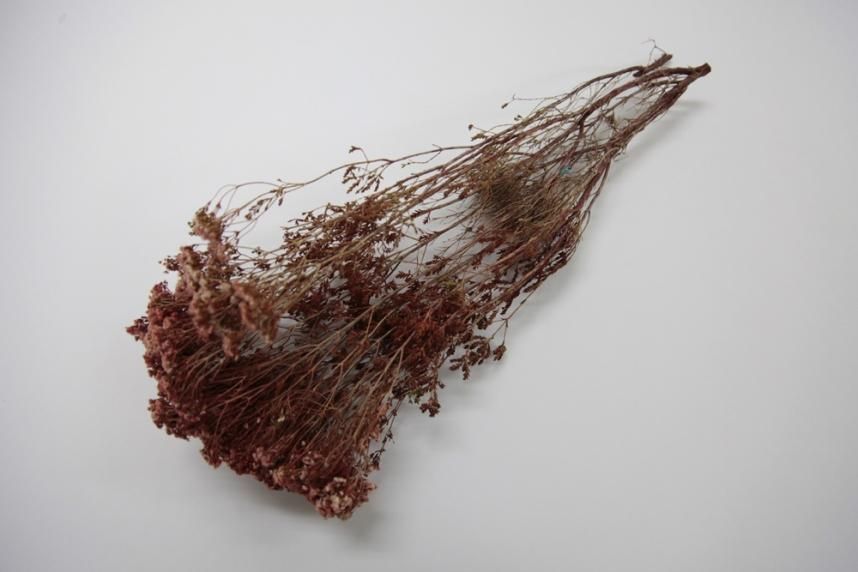 ブローニー レッド 約40g