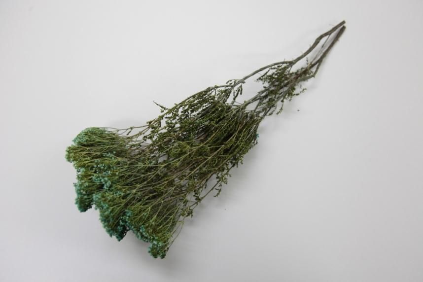 ブローニー ブルー 約40g