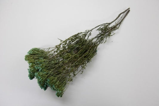 ブローニー ブルー 約40g