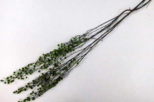 ストレンギア グリーン 約40g