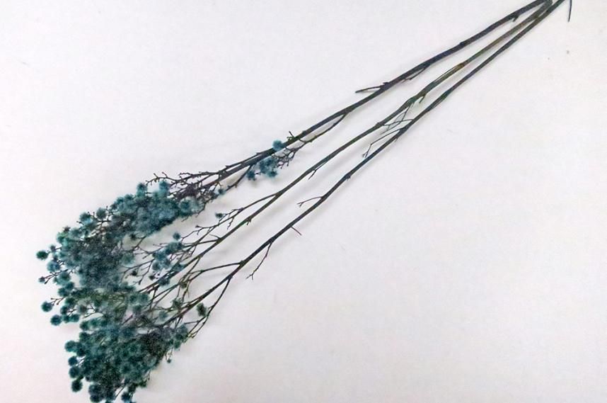 ストレンギア ブルー 約40g