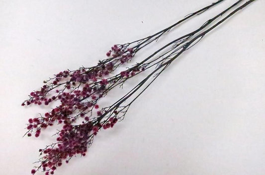 ストレンギア ピンク 約40g