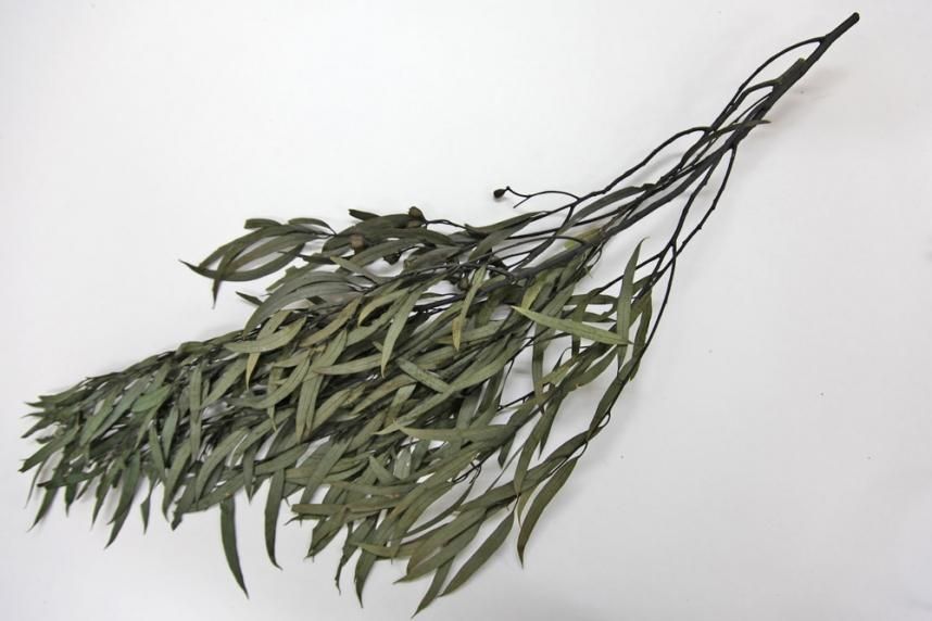 サージェンティー グリーン 約40g