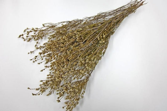 ショルツィア ナチュラルピンク 約40g