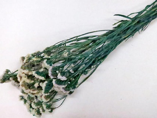 スターチス ナチュラル 約６０ｇ