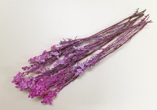 サゴ ピンク 約40g