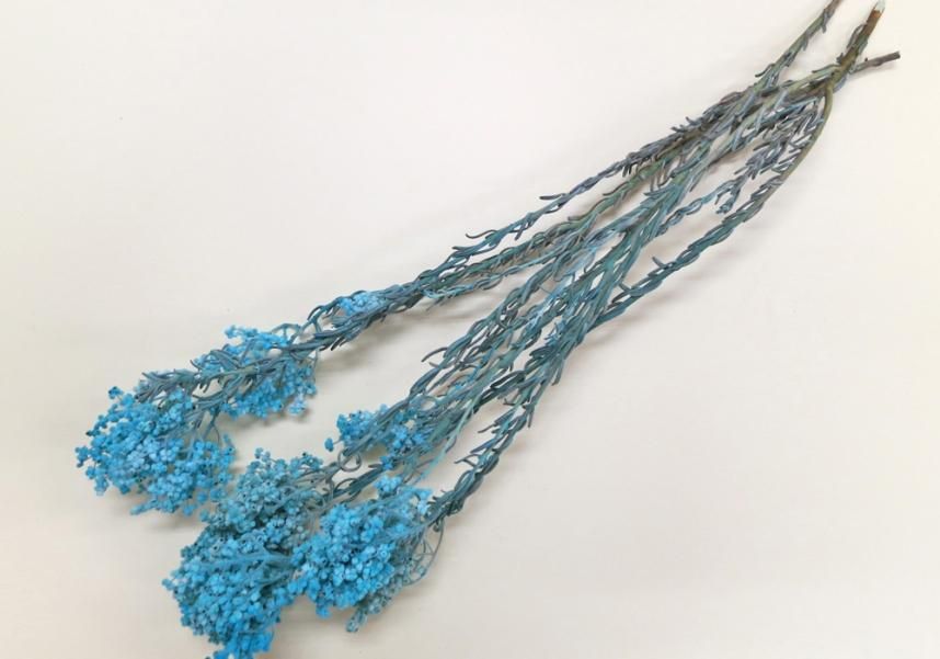 サゴ ブルー 約40g