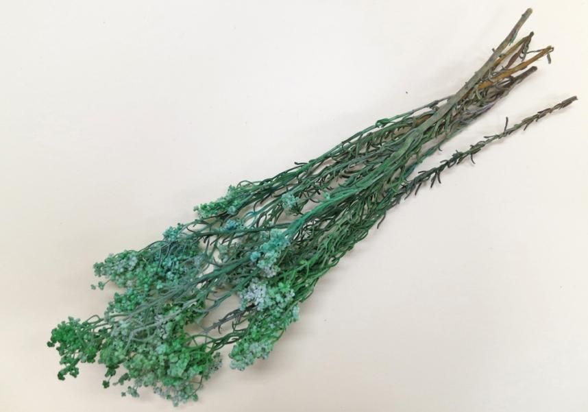 サゴ グリーン 約40g