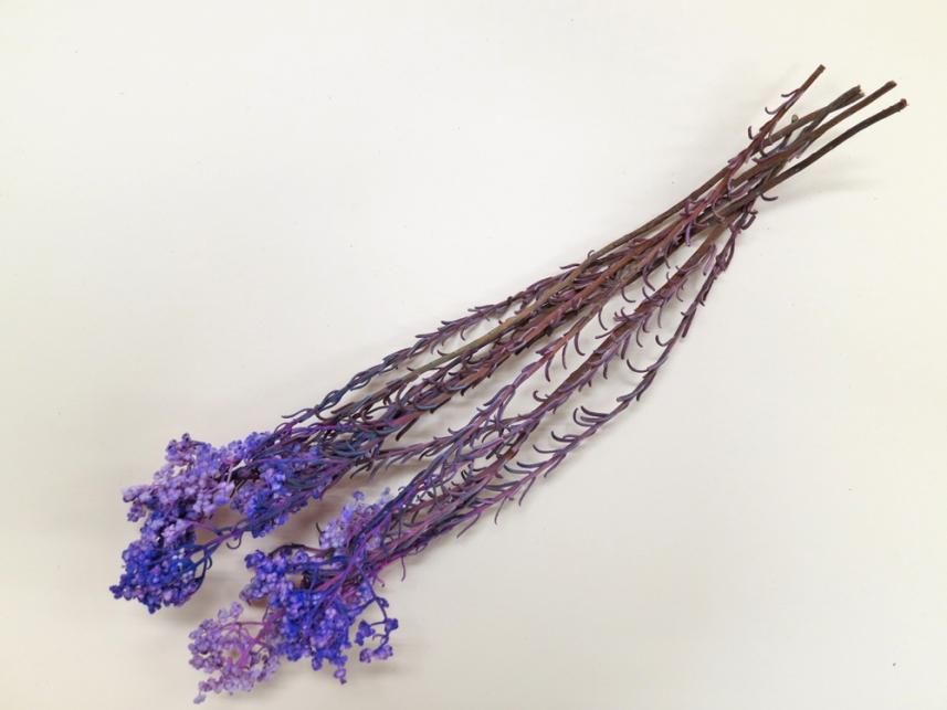 サゴ ムーブ 約40g