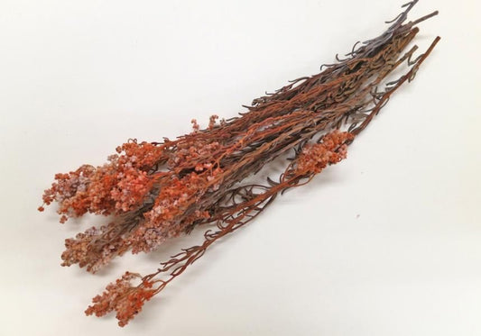 サゴ オレンジ 約40gです。