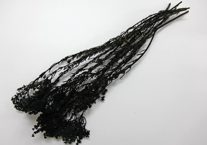 サゴ ブラック 約40g