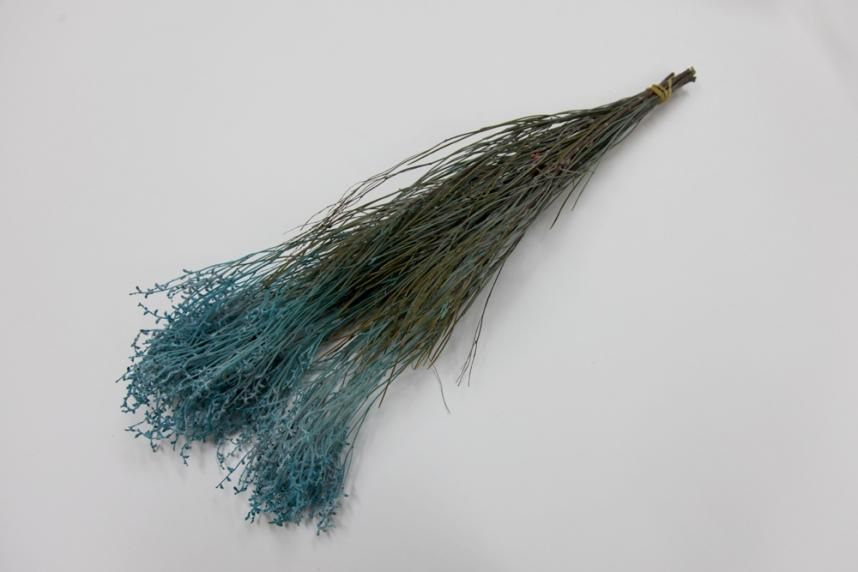 コモンスモーク ブルー 約40g