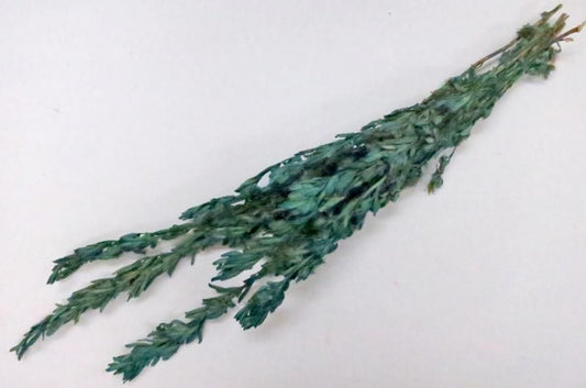 ケイパーズ ブルー 約40g