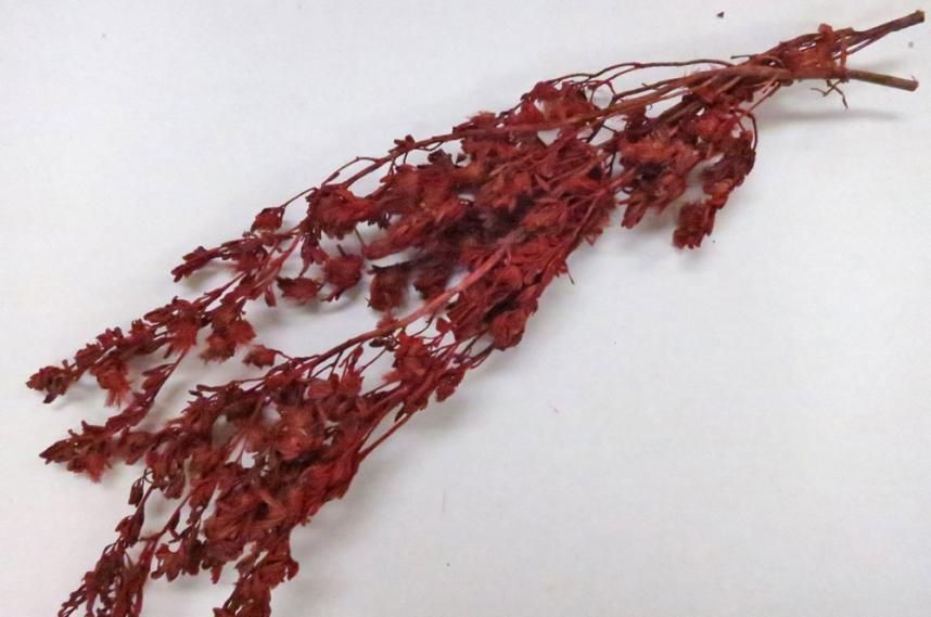 ケイパーズ レッド 約40g