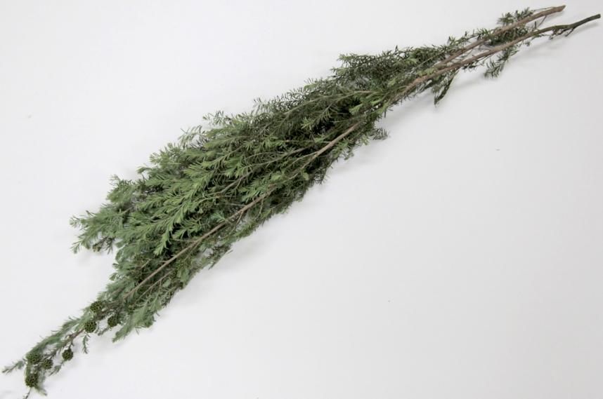 クンゼア グリーン 約40g