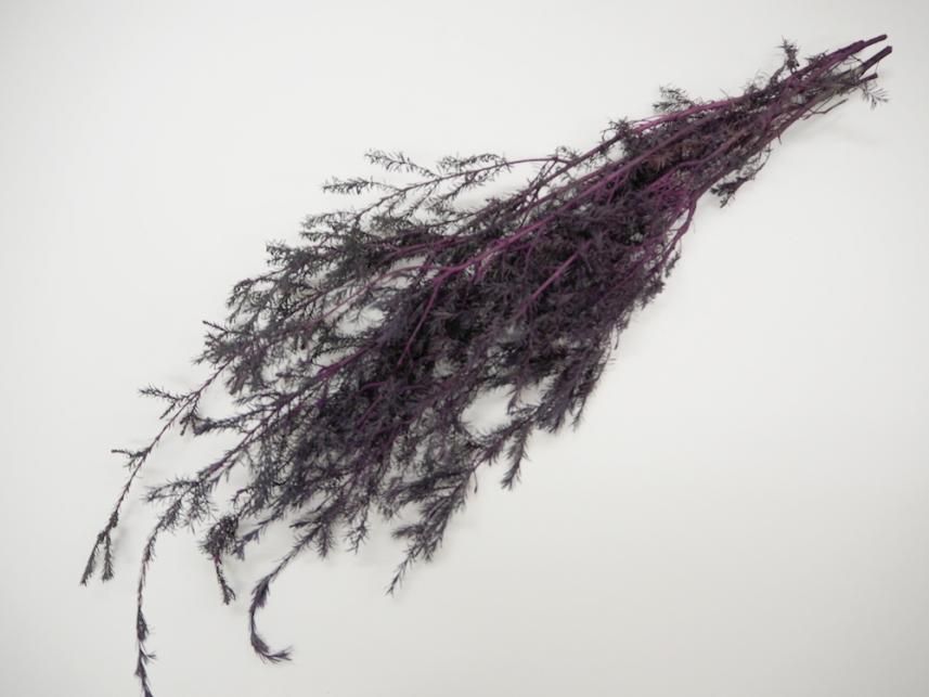 クンゼア ムーブ 約40g