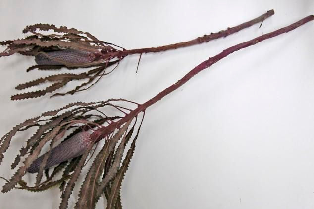 バンクシアプリノテキャンドル ムーブ 2本