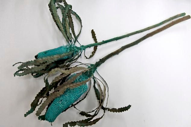 バンクシアプリノテキャンドル ブルー 2本