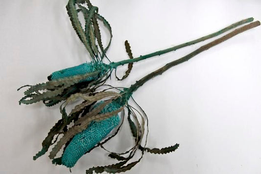 バンクシアプリノテキャンドル ブルー 2本