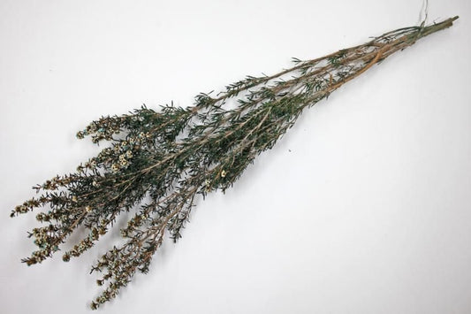 ティートゥリーコルサ ナチュラル 約50g