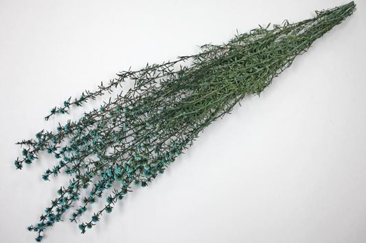 ティートゥリーコルサ ブルー 約50g