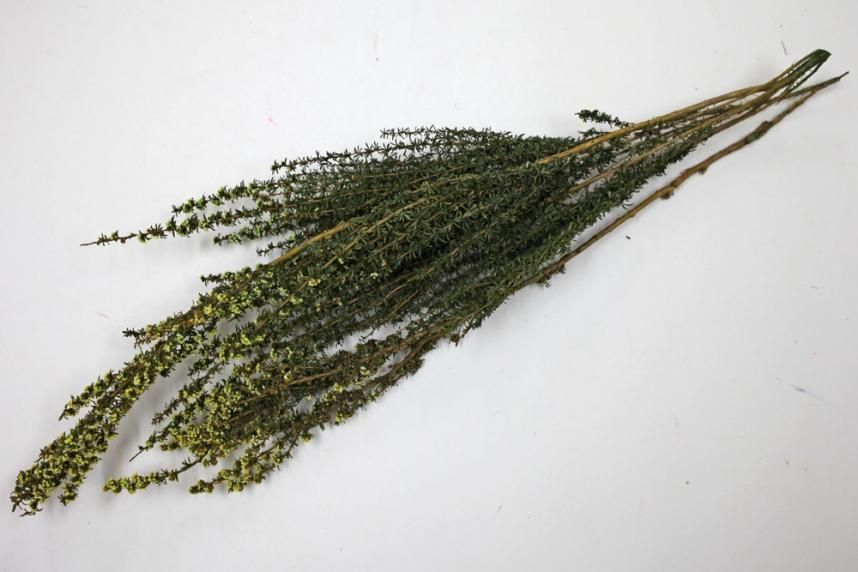 ティートゥリーファイン イエロー 約40g