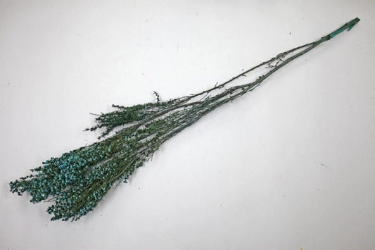 ティートゥリーファイン ブルー 約40g