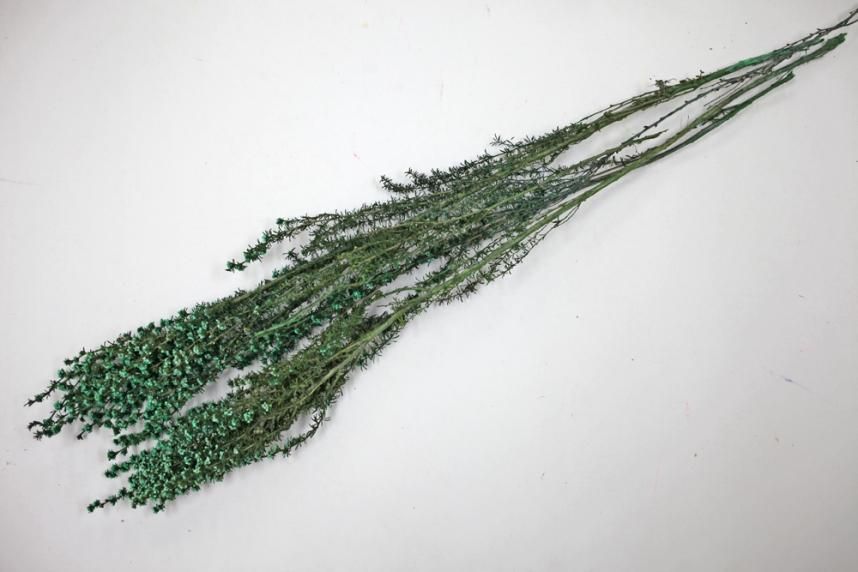 ティートゥリーファイン グリーン 約40g